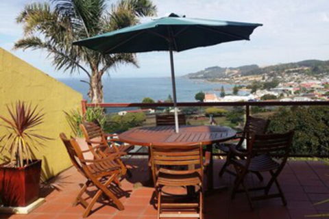 High On Penguin - Accommodation Daintree 0