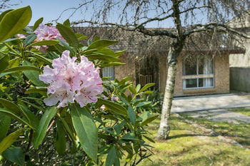 Wentworth Rose - Accommodation Daintree 0