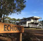 Echidna on Bruny - Accommodation Daintree