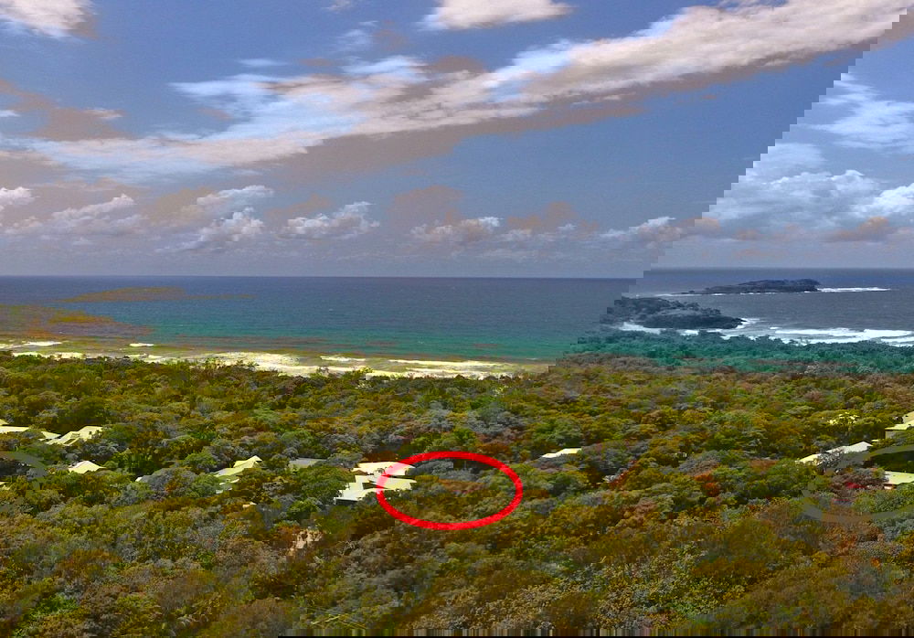 Fingal Head NSW Accommodation Daintree