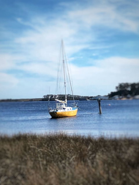 Aloft Boutique Accommodation - Accommodation Daintree 4