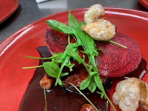 Aloft Boutique Accommodation - Accommodation Daintree 2