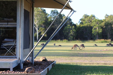 Habitat Noosa - Accommodation Daintree 3