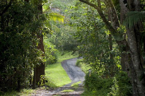 Nimbin Waterfall Retreat - Accommodation Daintree 1
