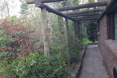 Nice House In Singleton Hunter Valley - Accommodation Daintree 3