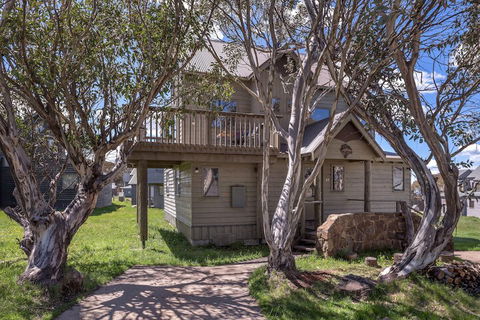 Colorado - Accommodation Daintree 2