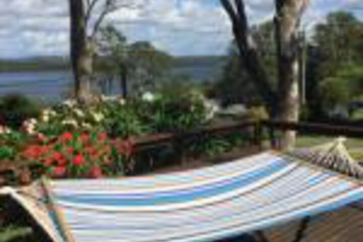 Whoota NSW Accommodation Daintree