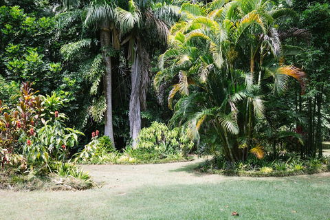 Sanctuary In The Pocket - Accommodation Daintree 0