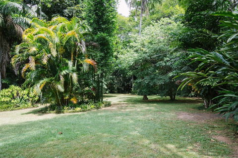 Sanctuary In The Pocket - Accommodation Daintree 2