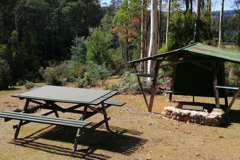Minnow Cabins - Accommodation Daintree 6