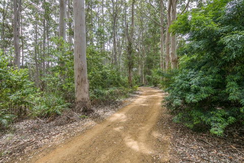 Karrak Reach Forest Retreat - Accommodation Daintree 3