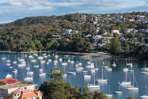STUNNING MANLY VIEWS - Accommodation Daintree 1