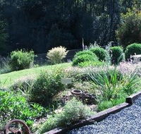 Love Grove Guest House - Accommodation Daintree