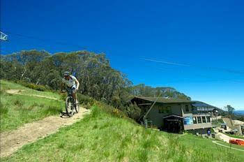 Snowlands Apartments - Accommodation Daintree 1