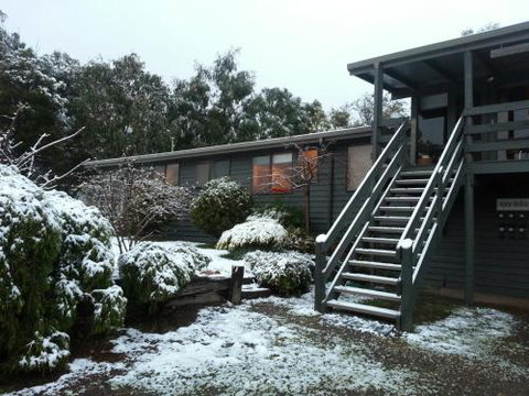 Alps Lodge - Accommodation Daintree 2