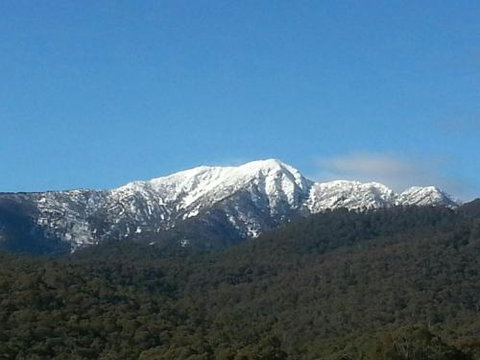 Alps Lodge - Accommodation Daintree 4