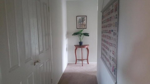 Annesley Central - Accommodation Daintree 6