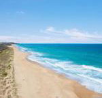 Jimmys Shout Pet Friendly - Accommodation Daintree