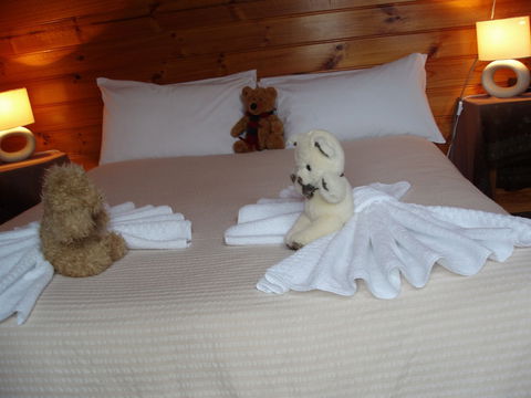 Boat Harbour Garden Cottages - Accommodation Daintree 3