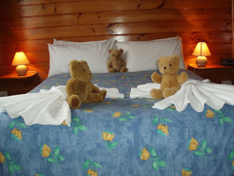 Boat Harbour Garden Cottages - Accommodation Daintree 5