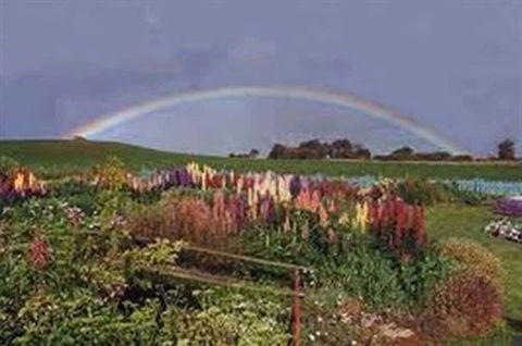 Boat Harbour Garden Cottages - Accommodation Daintree 0