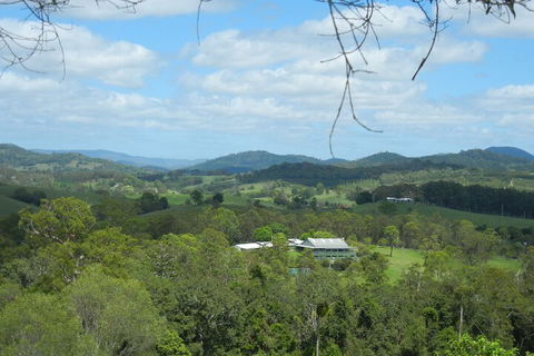 Amamoor Lodge - Accommodation Daintree 2