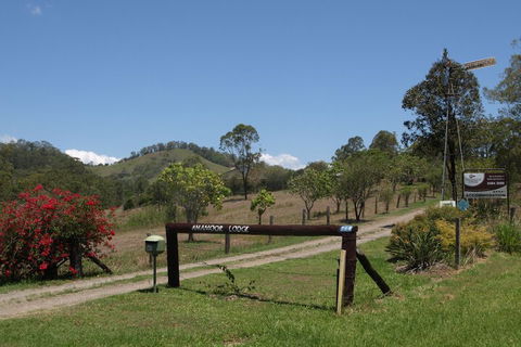 Amamoor Lodge - Accommodation Daintree 1