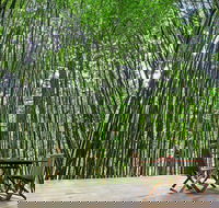 Azabu Boutique Accommodation Byron Bay - Accommodation Daintree