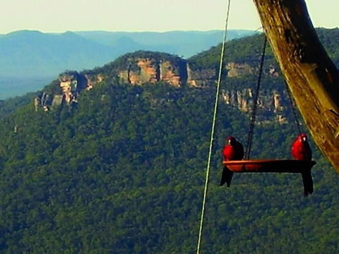 Valley Of The Waters B&B - Accommodation Daintree 3
