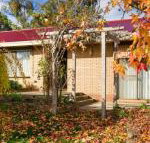 The Greenery - Accommodation Daintree