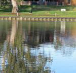 Wentworth Wharf B  B - Accommodation Daintree
