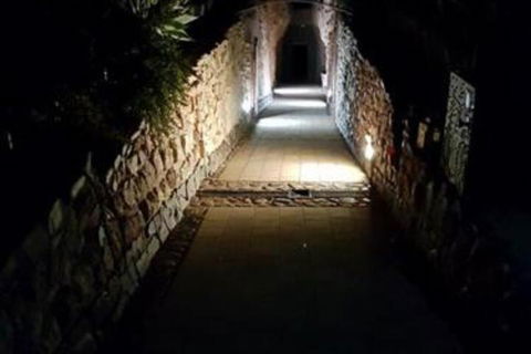 Zen Underground B & B - Accommodation Daintree 2