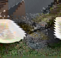 William Hunts Retreat Cypress Studio