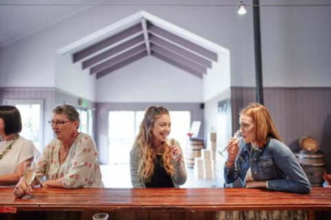 Grapevine Glamping - Accommodation Daintree 7