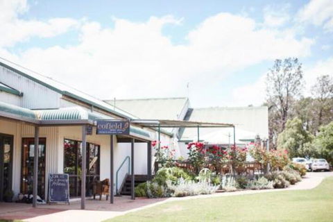 Grapevine Glamping - Accommodation Daintree 6