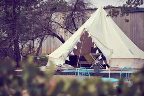 Grapevine Glamping - Accommodation Daintree 3
