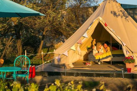 Grapevine Glamping - Accommodation Daintree 2