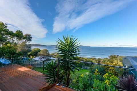 Jacks Nest - Accommodation Daintree 6