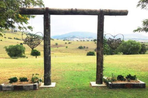 Milford Country Cottages - Accommodation Daintree 6