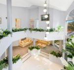 The Atrium 11 Kentia Close - Accommodation Daintree