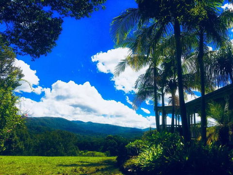 Valleydale Cottage - Accommodation Daintree 3