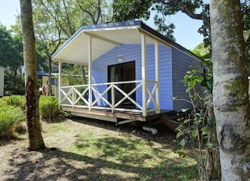 Tiona Palms Holiday Park - Accommodation Daintree 6