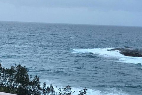 Absolute Oceanfront Cottage - Accommodation Daintree 6