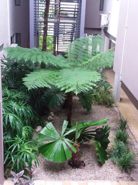 Jackies Studio Apartment - Accommodation Daintree 5