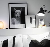 105flora Cozy Stay Prahran Lively Neighbour - Accommodation Daintree