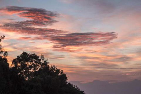 The Silvermoon Villa Private Villa - Accommodation Daintree 0