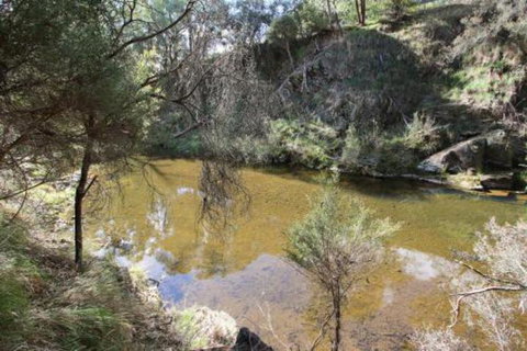 Alpine Streamside - Accommodation Daintree 3