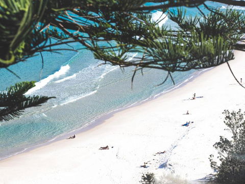 DAVIES STREET 3 / 14 MOLLYMOOK - Accommodation Daintree 1