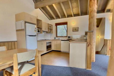 Snowy River - Accommodation Daintree 3