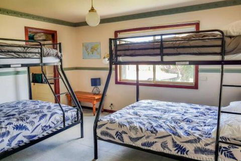 GUMS & ROSES Family Home In The Heart Of Town. - Accommodation Daintree 1